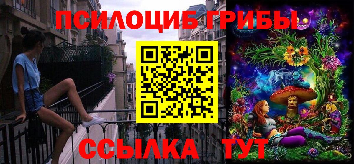 Галлюциногенные грибы Psilocybe  Галлюциногенные грибы мицелий  купить наркоту  Татарск  Вход с VPN 