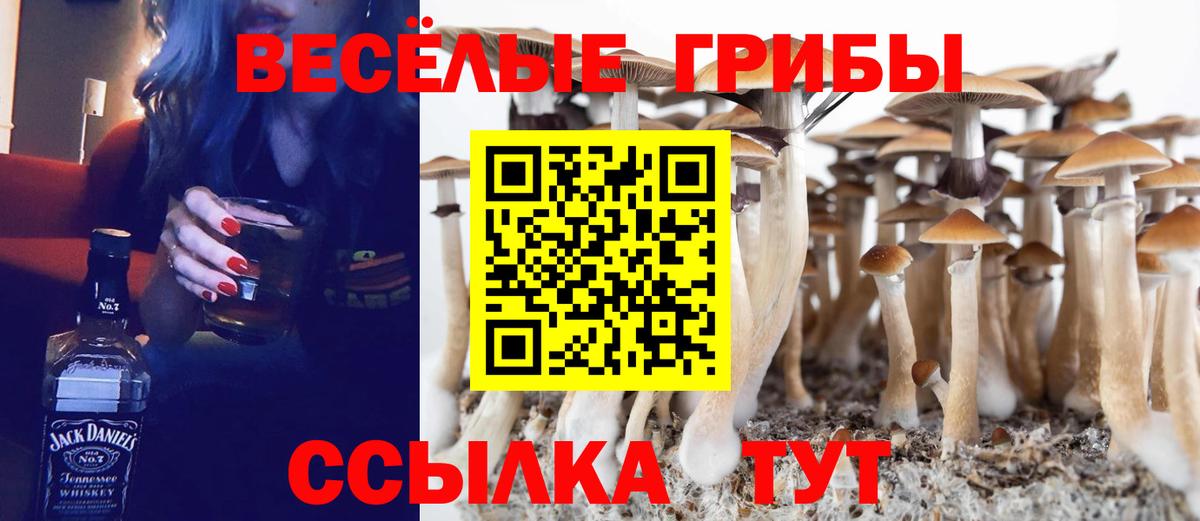 Псилоцибиновые грибы ЛСД Татарск