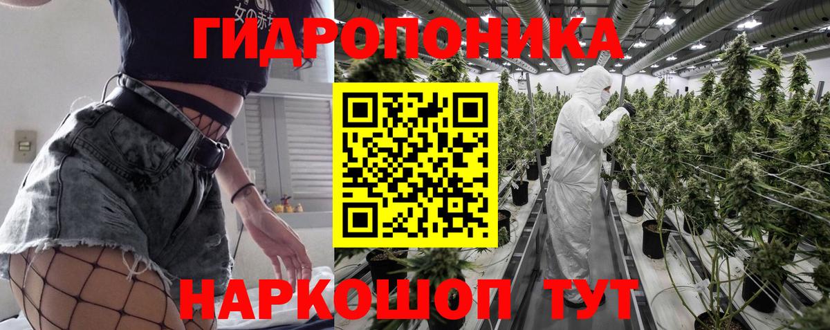 Шишки марихуана конопля  Вход с VPN  Шишки марихуана марихуана  Бошки Шишки тримм  Татарск 